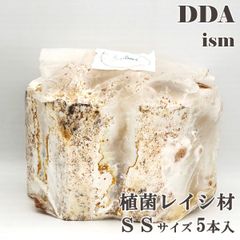 【DDA】植菌レイシ材 SSサイズ 5本入 加水不要 dda クワガタ 産卵木 クヌギ コナラ
