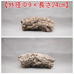 255S27　 ポルトガル産 キャノンコルク コルク樹皮 バージンコルク 250802 ポルトガル産 キャノンコルク コルク樹皮 コルク板