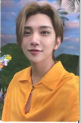 SEVENTEEN NEW BEGINNING JOSHUA SECTOR17 ピンク黄