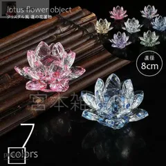 レア品種ハス インド蓮の種４個の出品です 来年発芽用 今月末迄セール レア品種ハス インド蓮の種4個の出品です 来年発芽用 今