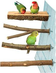 Item thumbnail for item 5e027306-79e3-40b1-ac76-ea394f1b0217