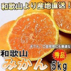 みかん 和歌山県産 ミカン 秀品 5kg お好みのサイズが選べる蜜柑 【訳なし】 ※発送開始予定日:10月中旬頃