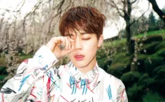 BTS V テヒョン テテ 花様年華 pt1 日本盤 日本限定盤トレカ BTS V テヒョン テテ 花様年華 pt1 日本盤 日本限定盤トレカ 花様