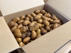 北海道産 じゃがいも メークイン Sサイズ 越冬 貯蔵 ほくほく 甘い 5kg