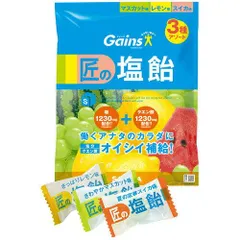 【新品・2営業日で発送】サラヤ Gains匠の塩飴 アソート 750g 1袋(277304)のサムネイル