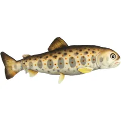 HANSA BH8509 アマゴ 全長37cm 渓流 魚 日本固有種 リアル ぬいぐるみ ハンサ 誕生日 プレゼント 動物 犬 猫 鳥 うさぎ ペンギン アニマル 置物 人形 フィギュア 大きい マスコット 実物大 大型 ビッグ おすすめ かわいい おしゃれのサムネイル