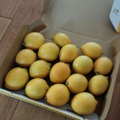 ☆はるみ みかん☆ 15キロ(箱込み) 広島県瀬戸田産 家庭用 農家