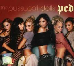 【ほぼ未使用】　the pussycat dolls 9枚セット 2025年最新】pussycat dollsの人気アイテム - メルカリ