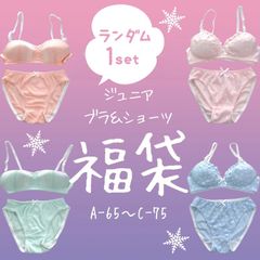 【おためし1点】ジュニア ブラ&ショーツ 福袋 上下1セット デザインランダム ノンワイヤー ブラジャー ショーツ ジュニア キッズ 女の子 下着 思春期 65 70 75 A B C