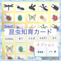 知育カード　昆虫カード　神経衰弱　シルエットクイズ　マッチングカード　メモリーカード　モンテッソーリ