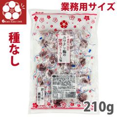 種とりカリカリ梅 1袋 210g 大粒 赤城フーズ 業務用 熱中対策 種なし 種取り スッパしょっぱいカリカリ梅