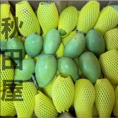 グリーンマンゴー約1kg 3-4pcs　(常温便)全国対応柔らかくなる可能性ありのサムネイル