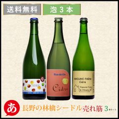 日本ワイン セット【長野の林檎シードル売れ筋3本セット】送料無料 りんごのお酒 スパークリング 国産 長野ワイン アルカンヴィーニュ リュードヴァン はすみふぁーむ japanese wine 酒 飲料