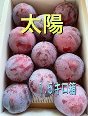 ラスト３箱　山梨県産スモモ(太陽) 訳あり１.５キロ箱