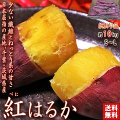 紅はるか さつまいも 約10kg 千葉県・茨城県産 訳あり品 濃厚な味と栄養豊富な旬の野菜！甘み溢れる薩摩芋をお届け