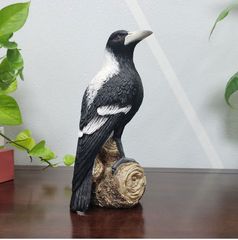 鳥剥製】エンビシキチョウ 標本 スズメカラス ムクドリ ハト ワシ