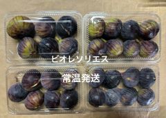 いちじく　ビオレソリエス　常温発送