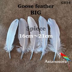 ◾️⭐︎【GB14スカイ】ガチョウ 羽根 大 5枚 フェザー 鳥の羽根 素材 羽