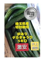 5キロ弱！リピーター続出！デカきゅうり！　野菜ソムリエサミット銀賞受賞　農家直送　減農薬　有機肥料　ちょいデカきゅうり　訳あり　5kg