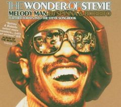 THE WONDER OF STEVIE MELODY MAN DJ spinn - メルカリ
