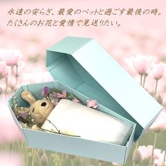 組立不要 ペット お葬式 ペット用棺 ひつぎ 棺桶 火葬 犬用棺 猫用棺 ペット棺