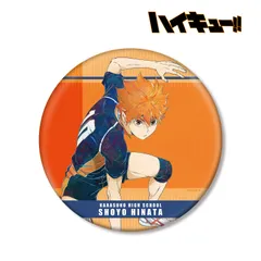 ハイキュー!!_日向翔陽 Ani-Art 第7弾 BIG缶バッジ