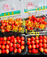 山形県産　さくらんぼ　佐藤錦　Lパック詰め　1.2kg