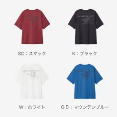 値下げしました　新品　正規品　ショートスリーブ ES ロゴワイドティー（メンズ）ザ・ノース・フェイス　グラフィックTシャツ THE NORTH FACE　半袖Ｔシャツ　NT32585　25SS　★5600【メール便配送】
