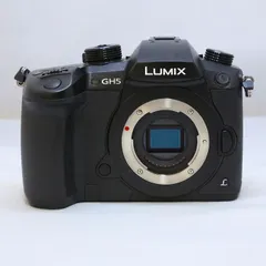2025年最新】dc-gh5 中古の人気アイテム - メルカリ 2025年最新】dc-gh5 中古の人気アイテム - メルカリ
