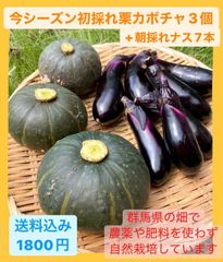 栗カボチャ3個+ナス7本‼️なっちゃん野菜