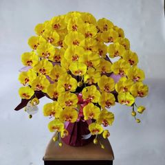 造花胡蝶蘭DXL/5F【黄】【造花】約高８０・幅50　・光触媒コーティング