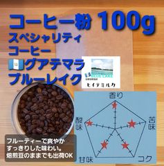 コーヒー粉or豆100g　ブルーレイク