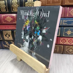 The Winking Owl Supernova　未開封CD+直筆サイン色紙 2025年最新】The Winking Owlの人気アイテム - メルカリ
