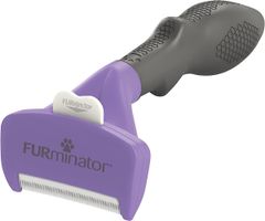 Item thumbnail for item 541c019f-fe3a-4c6f-ad97-b523a37f03d1