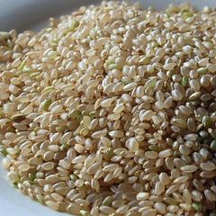 2024年産出荷中  長野県・飯山米コシヒカリ玄米１０ｋｇ  栽培期間中農薬不使用