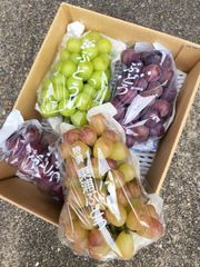 ぷーりま様専用です!！　クール便