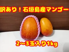 訳あり！石垣島産マンゴー2～3玉入り1kgのサムネイル