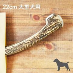 【 22cm 大型犬用 】エゾ鹿の角 犬 おやつ 無添加 国産 北海道産 ペット・ペットグッズ ドッグフード ガム 骨（ボーン）型 鹿の角 硬い 長持ち おもちゃ 鹿角 角ガム ペット用品　犬用品　ドッグフード