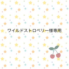ワイルドストロベリー様専用