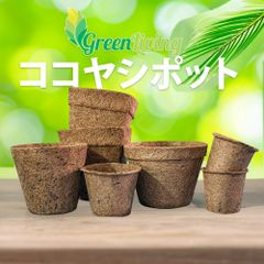 15個セット【高品質】ココヤシポット　植木鉢　天然　オーガニック　ポット 植木　7.5cm  3号未満 サイズ