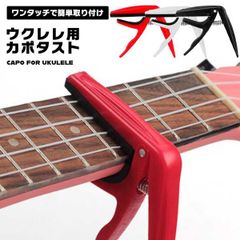 Item thumbnail for item 6f4ab358-d2e2-41a4-9db2-3d9ae5120b3d