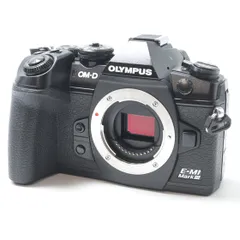 OM-D E-M1 Mark III 本体ショット数12801
