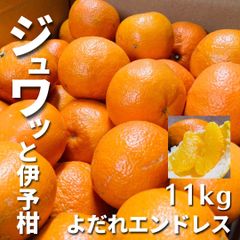 【ジュワッと爽快】伊予柑 小~大 サイズ約7~10cm 合計約11kg ☆送料無料☆ みかん