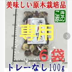 ★かのと様専用★無農薬★伊豆産原木栽培の小粒「どんこ入り椎茸」１００g×６袋