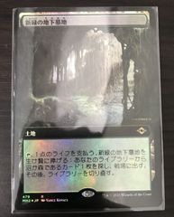 ヴァンガード ロマンティックブルーム ペンテランセ FR - メルカリ