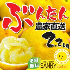 みかん 愛媛/高知県産 訳あり 文旦 ぶんたん 箱込2.2kg（2kg+保証分200g）（2月中旬～ご注文順に発送）※沖縄・離島・北海道は発送不可