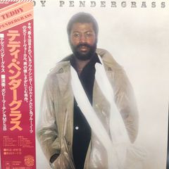 レコード Teddy Pendergrass Hold Me 7インチレコード