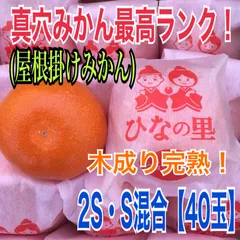 2026年最新】真 穴 の みかんの人気アイテム - メルカリ