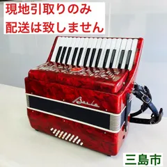 2025年最新】アコーディオン baileの人気アイテム - メルカリ
