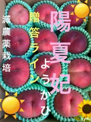 安心クールメルカリ便減農薬栽培山形県東根市産桃我が家のニューフェイス完売間近大玉系贈答ライン3.5k